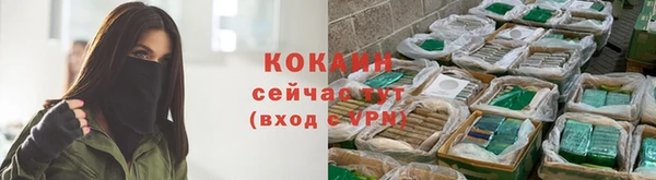 крисы Абинск