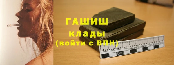 прущие грибы Алзамай