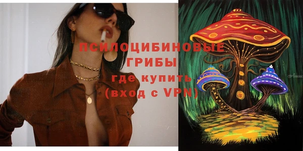 соль ск Алексеевка