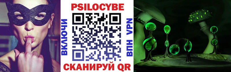 Псилоцибиновые грибы мицелий  Отрадная 